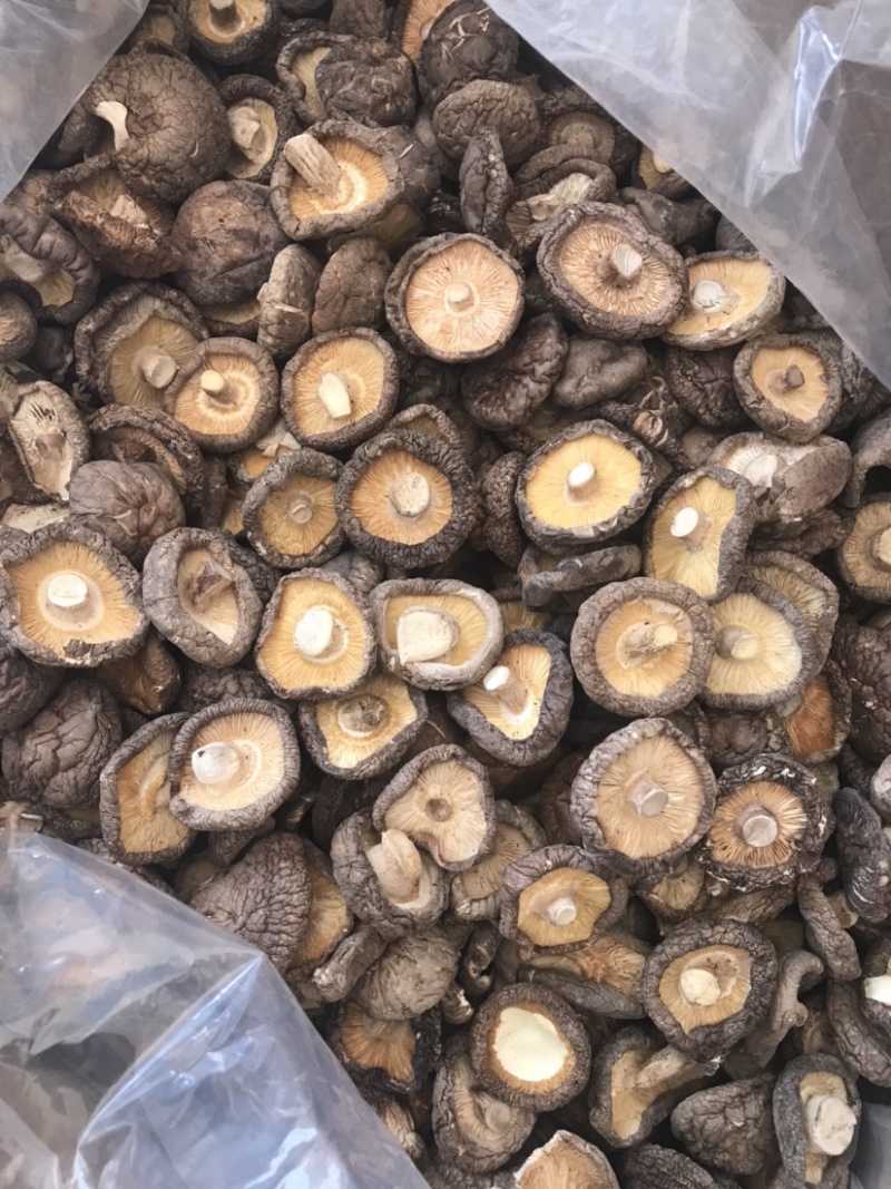 河南泌阳干香菇 驻马店特产批发，31.5元/斤质优价美
