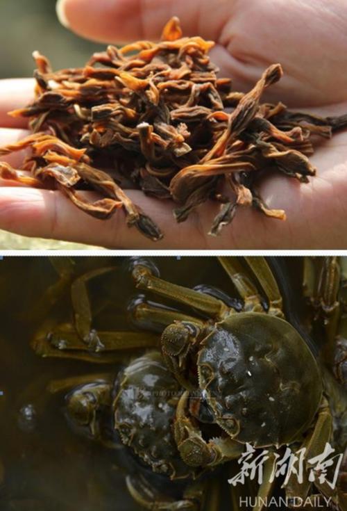 建立食用农产品质量安全追溯体系，应从完善法律正式确立”